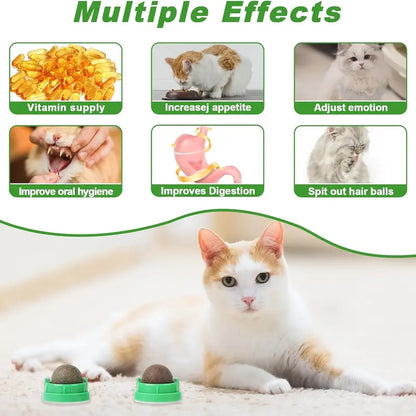 4-Pack Premium Silvervine &amp; Catnip Balls
