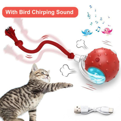 Interactive USB Rechargeable Pet Ball
