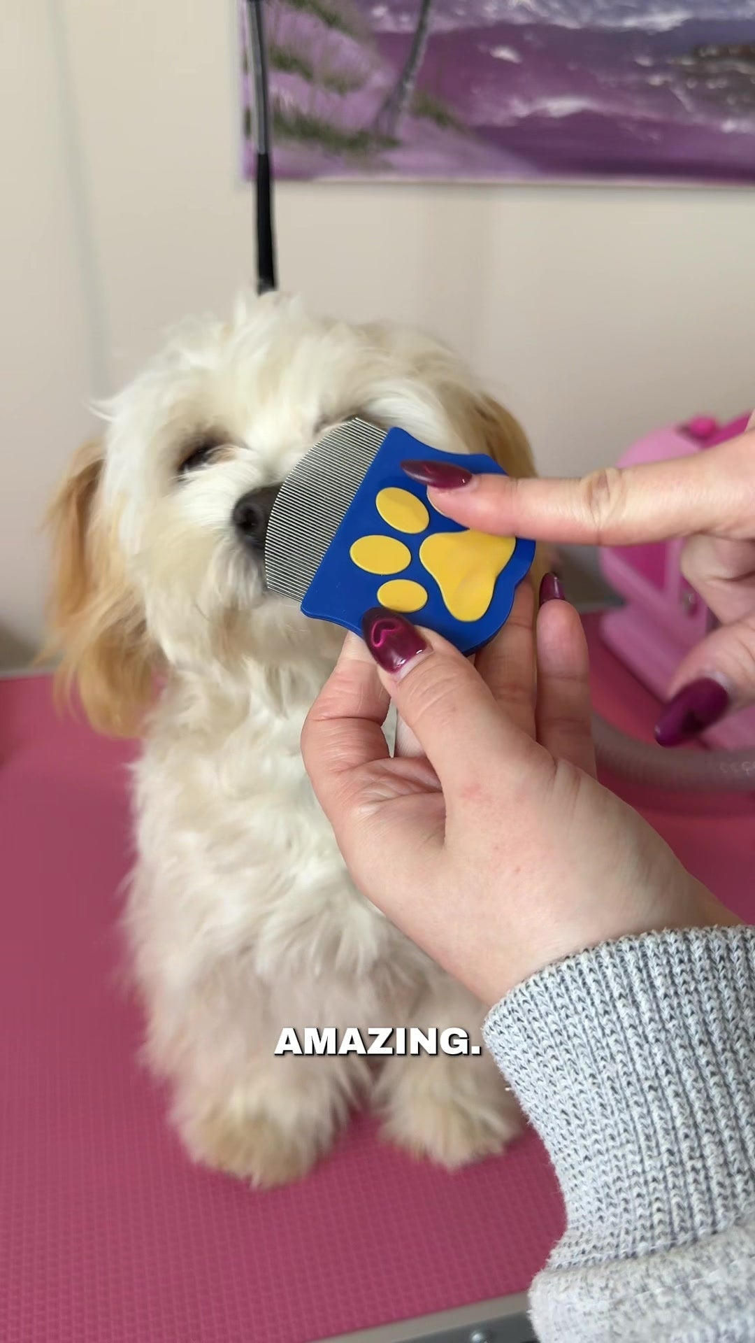 Pets Eye Comb Easy Facial Comb for Cats and Dogs