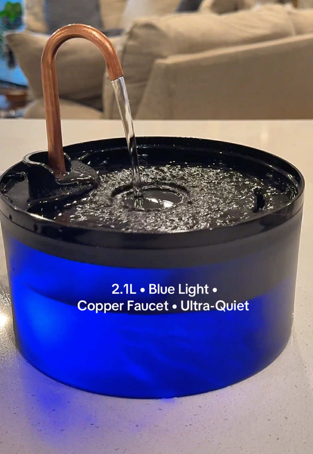 Cat Water Fountain