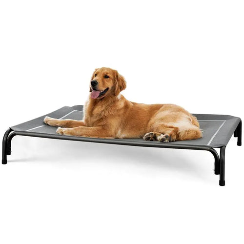 Elevated Dog Bed