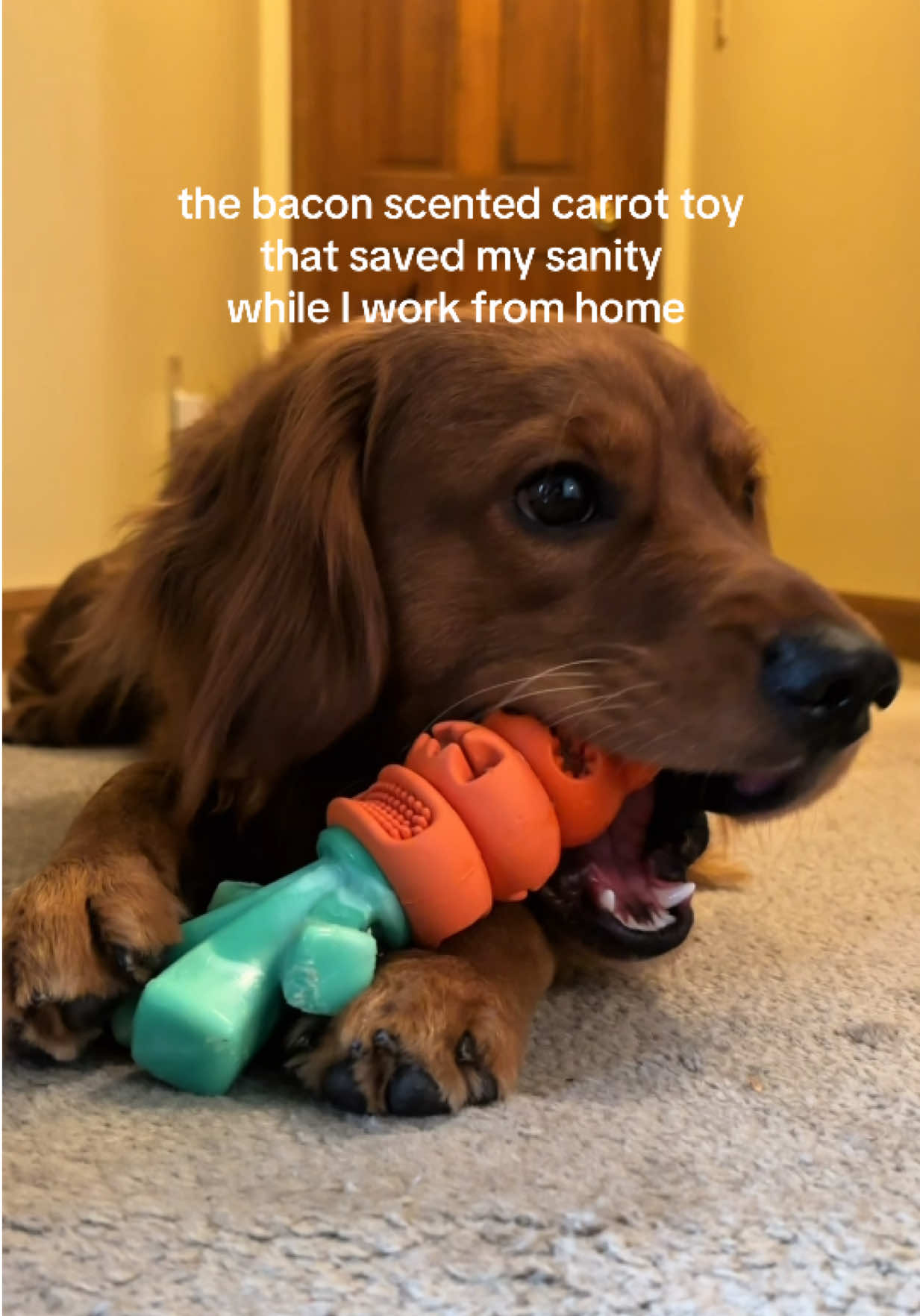 Durable Carrot Leaf Design Dog Chew Toy