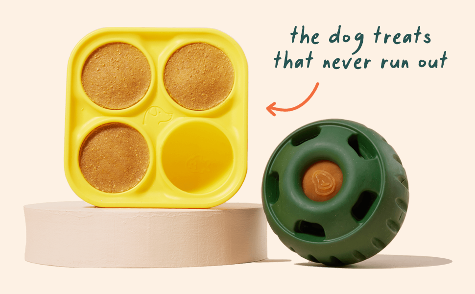 Reusable Silicone Dog Treat Tray Mold
