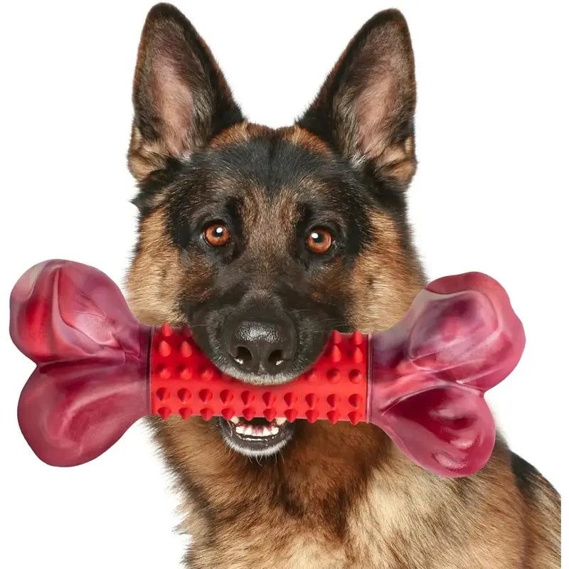 Unbreakable Dog Chew Toys for Aggressive Chewers