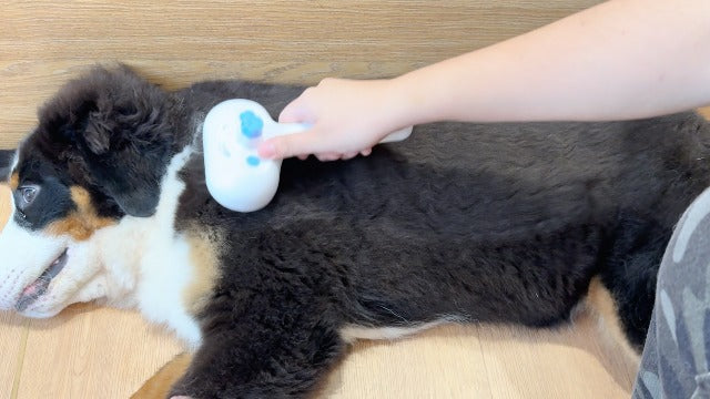 3-in-1 Ultrasonic Pet Steam Brush
