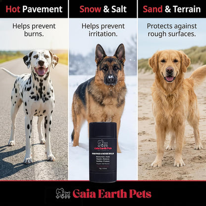 Natural Dog Paw & Nose Balm Stick