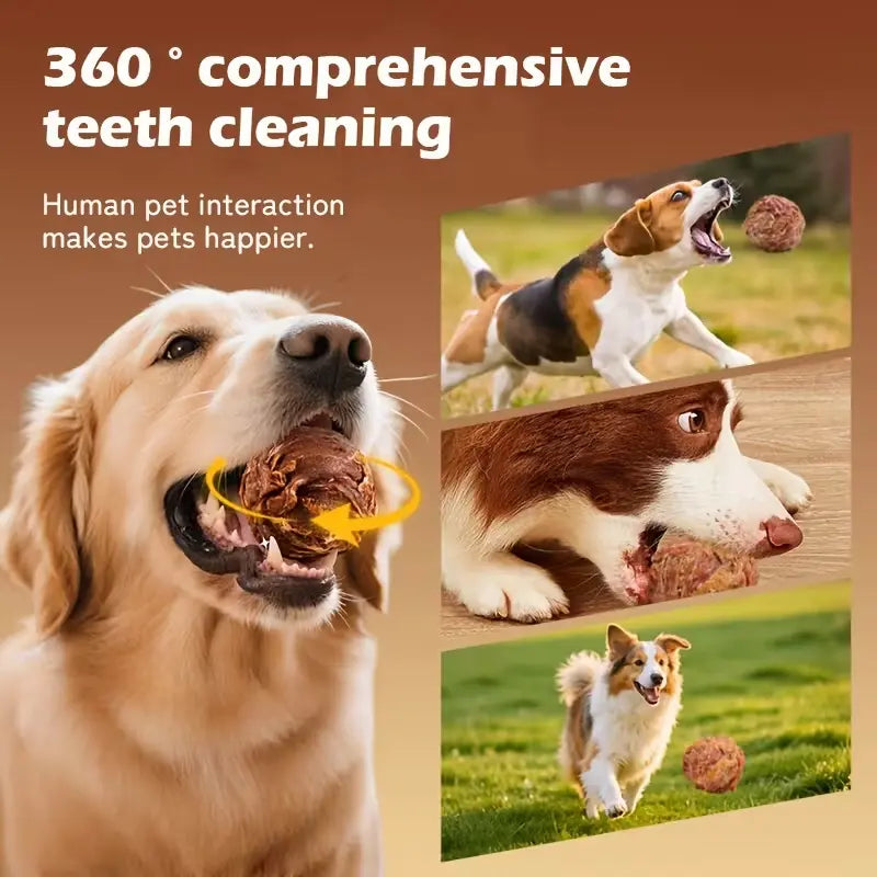 2-in-1 Duck Flavor Chew Toy
