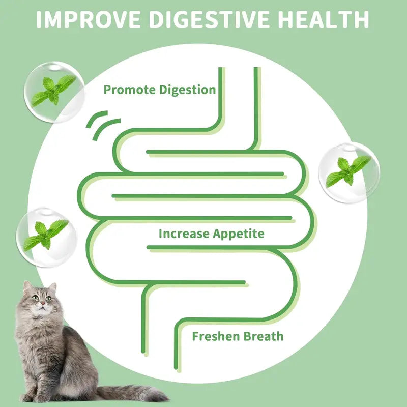 4-Pack Premium Silvervine &amp; Catnip Balls