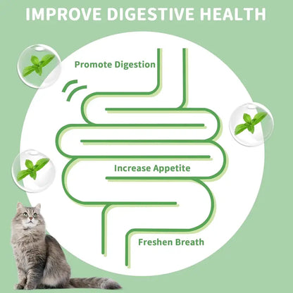 4-Pack Premium Silvervine &amp; Catnip Balls