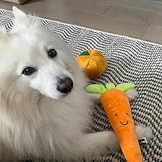 Cute Carrot - Plush Toy for Dogs