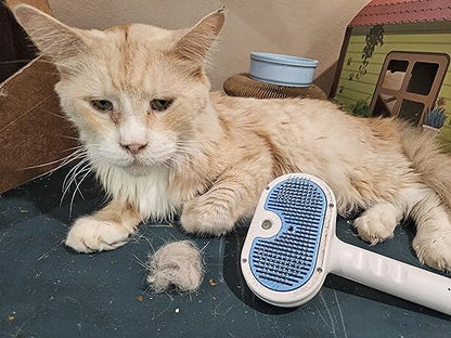 3-in-1 Ultrasonic Pet Steam Brush