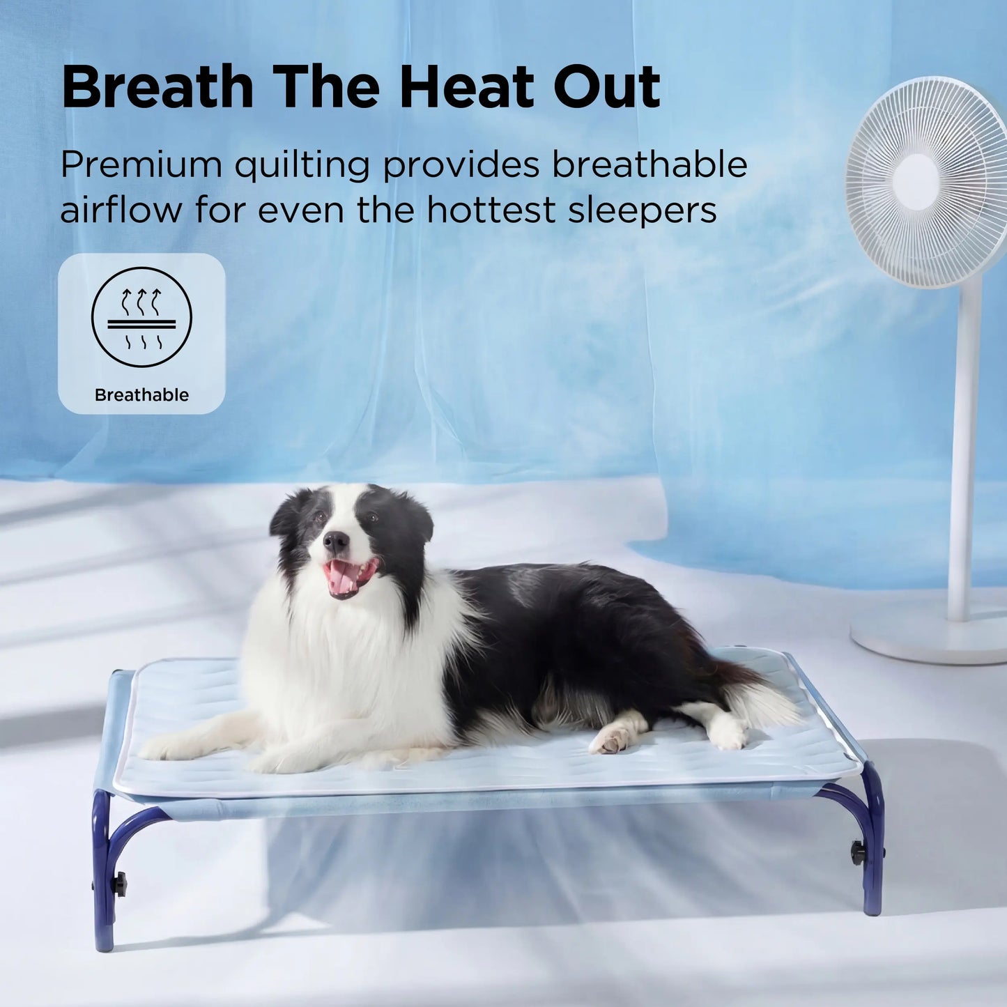 All-Season Pressure-Activated Cooling Pad for Pets