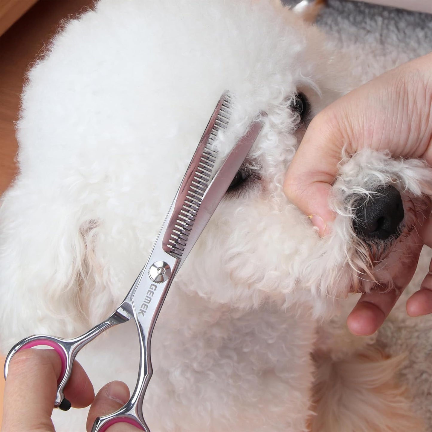 Grooming Scissors Kit