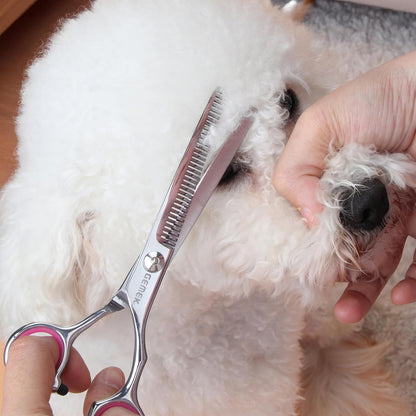 Grooming Scissors Kit