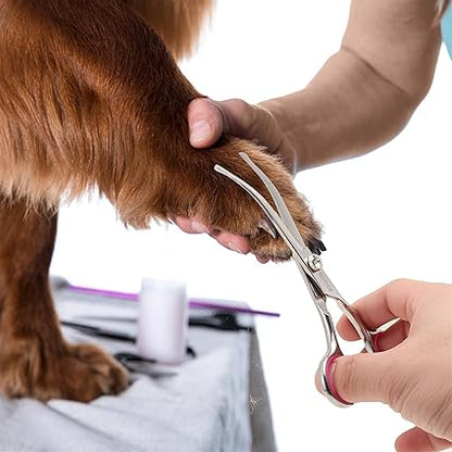 Grooming Scissors Kit