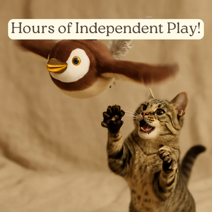 Bird-shaped Interactive Toy