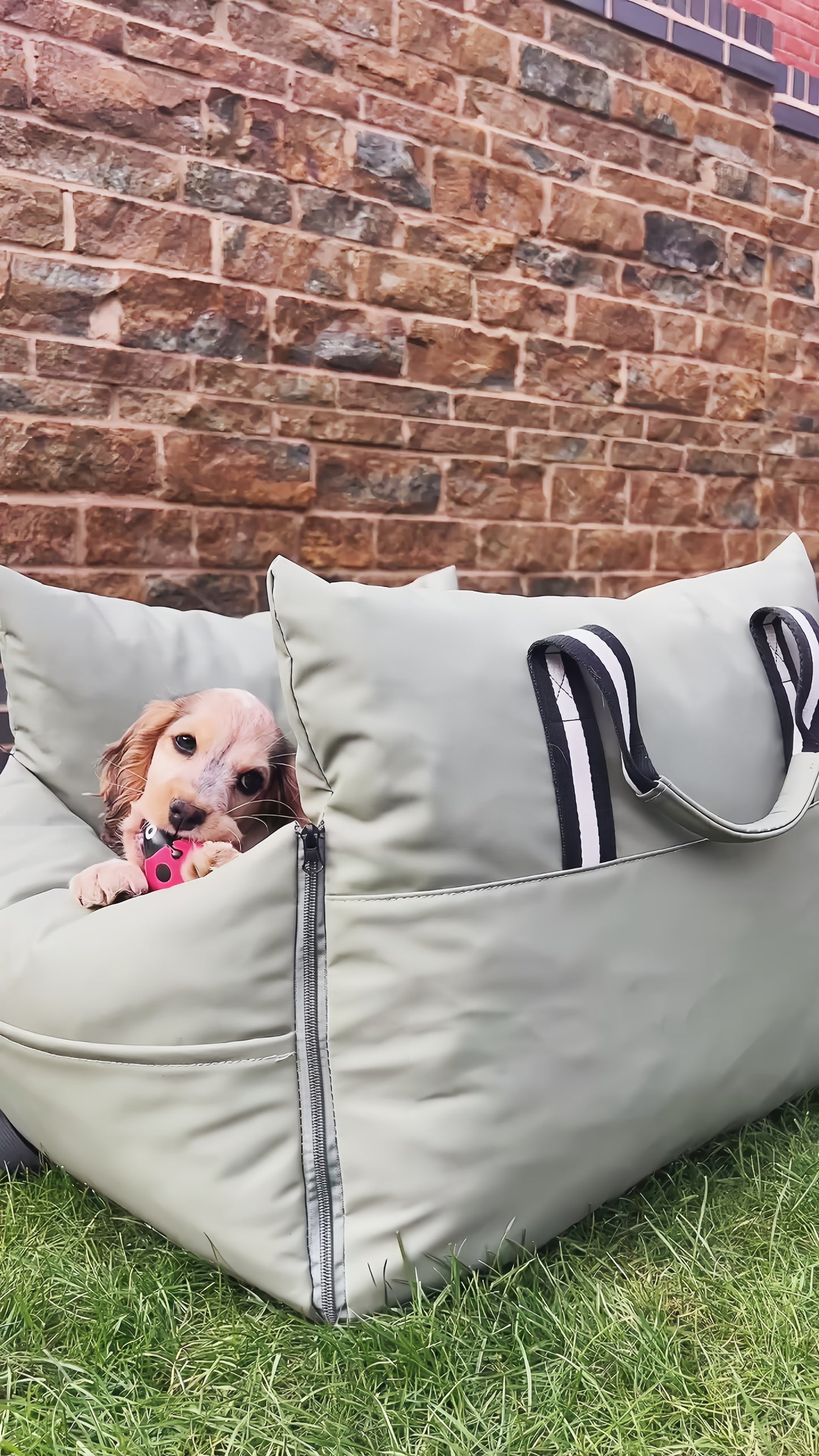 Gray - Pet Travel Car Seat