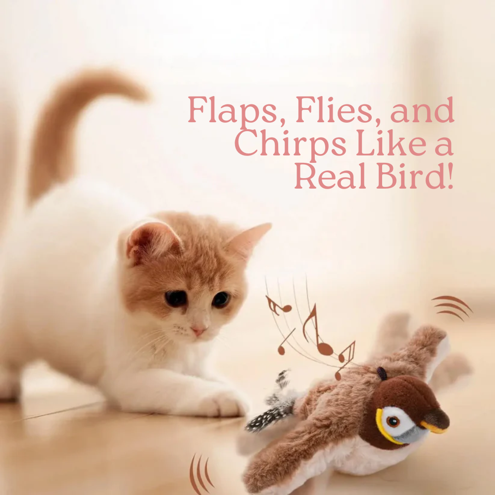 Bird-shaped Interactive Toy