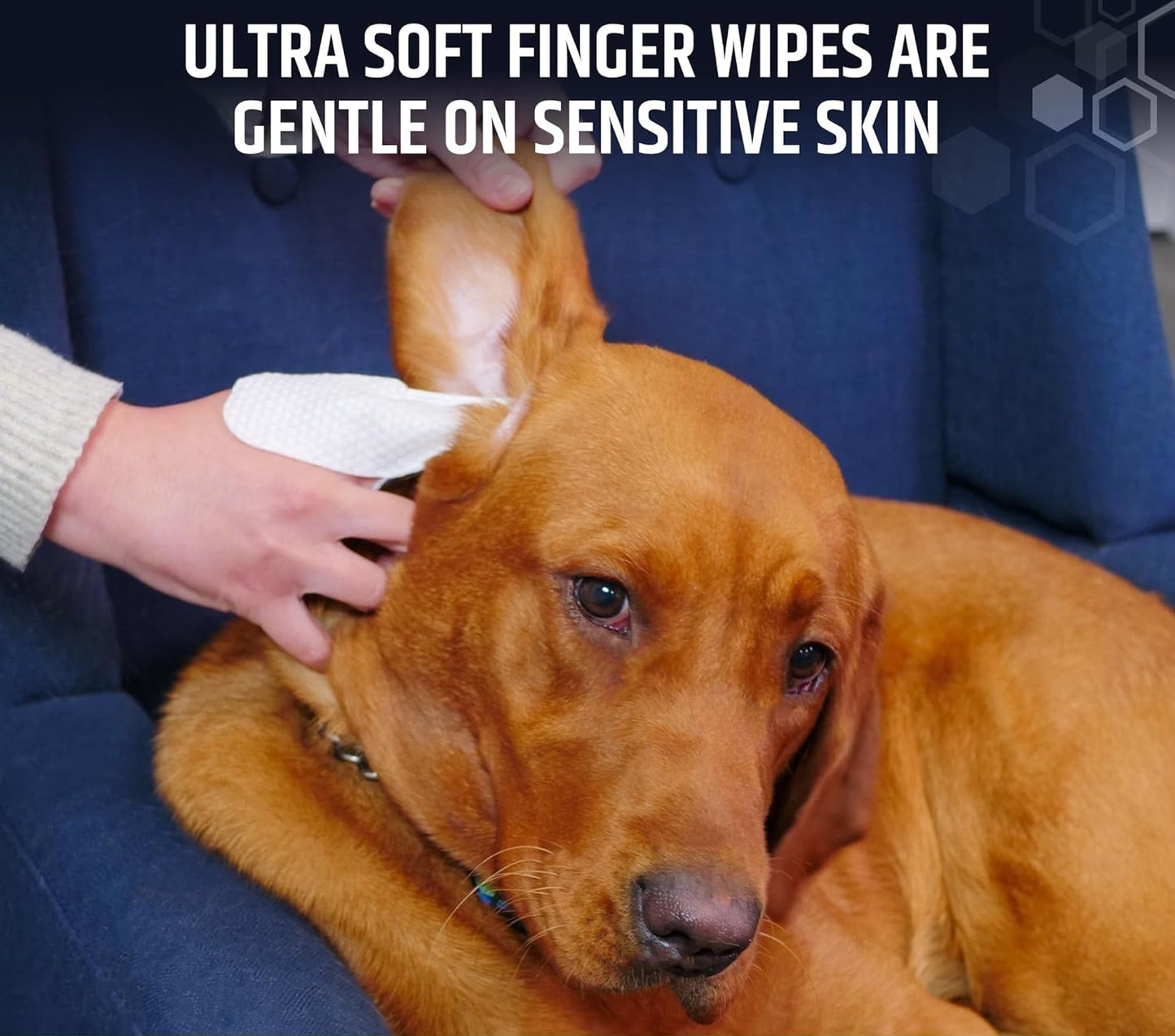 Dog Ear Cleaning Finger Wipes with Aloe Vera & Eucalyptus