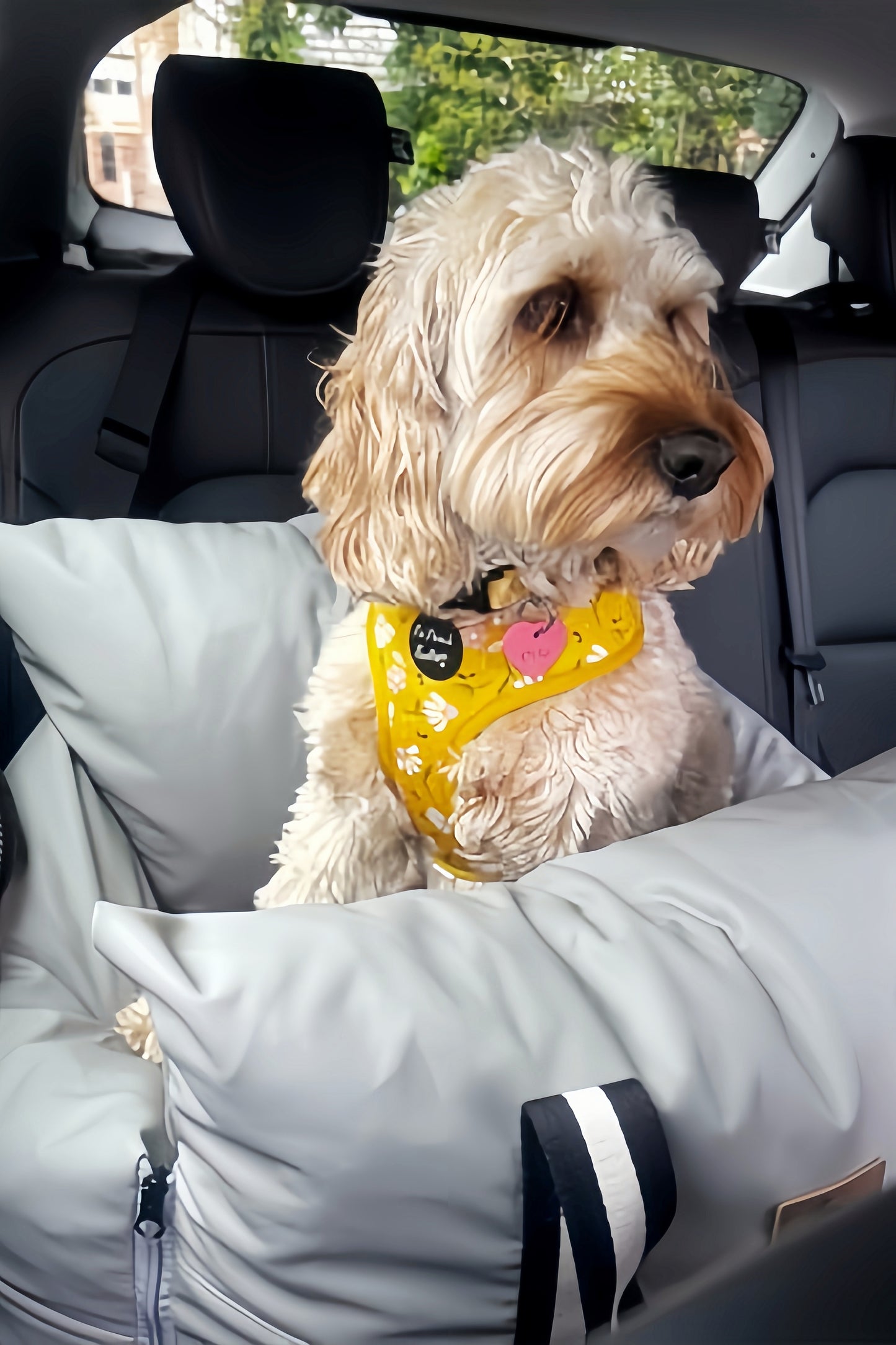 Gray - Pet Travel Car Seat