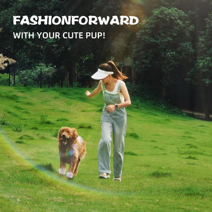 Waterproof Dog Boots with LED Lights