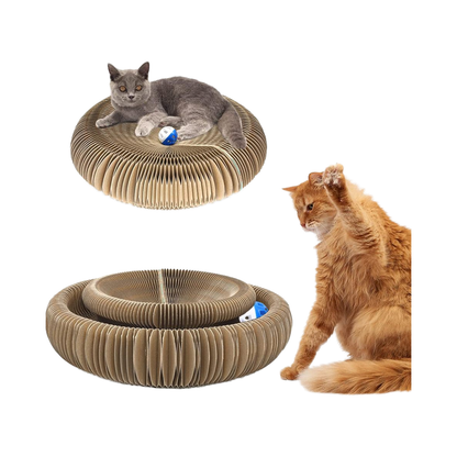 Magic Organ Foldable Cat Scratcher with Interactive Bell Ball