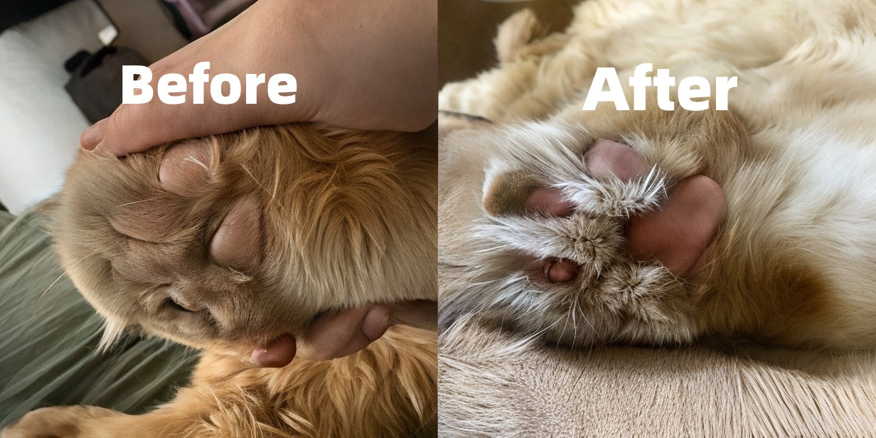 Lick-Safe Moisturizer for Dry, Cracked Pads