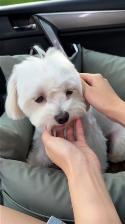 Green - Pet Travel Car Seat