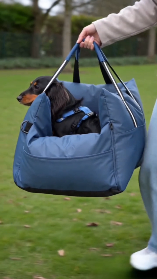 Dark Blue - Pet Travel Car Seat