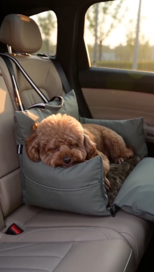 Green - Pet Travel Car Seat