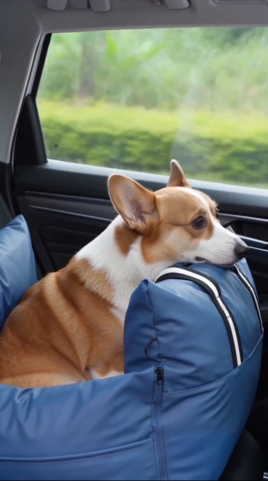 Dark Blue - Pet Travel Car Seat