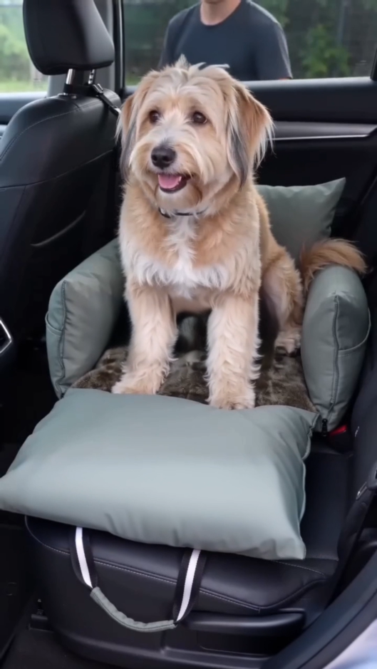 Green - Pet Travel Car Seat