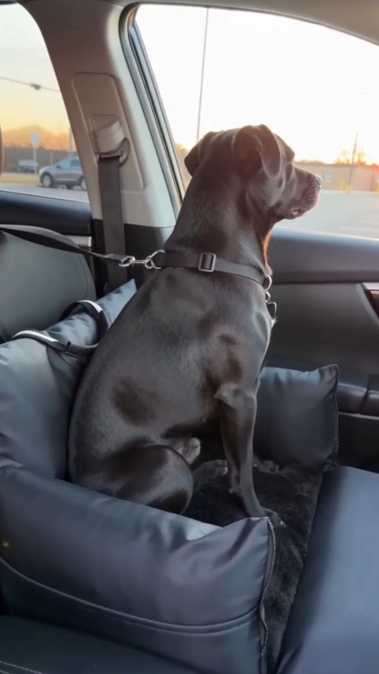 Black - Pet Travel Car Seat