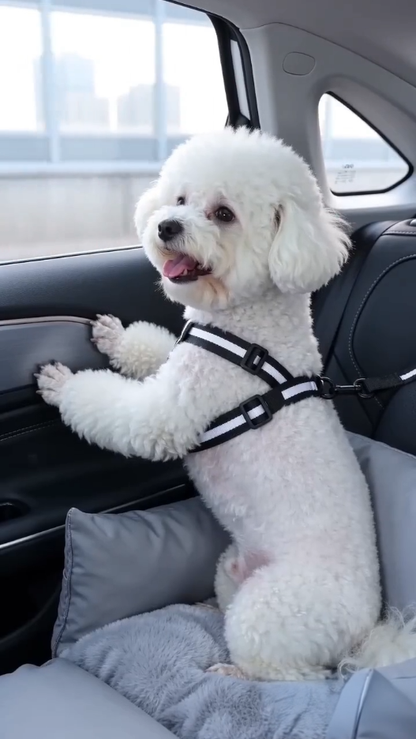 Gray - Pet Travel Car Seat