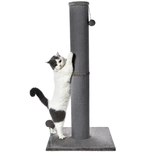 Cat Scratching Post