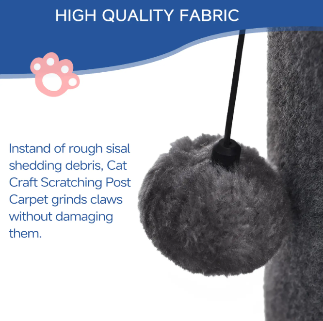 Cat Scratching Post