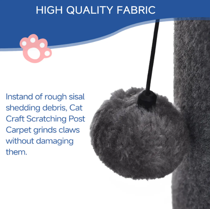 Cat Scratching Post