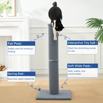 Cat Scratching Post