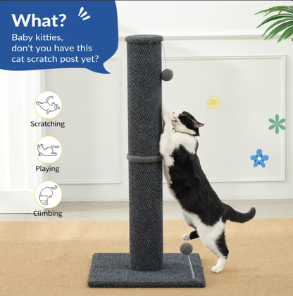 Cat Scratching Post