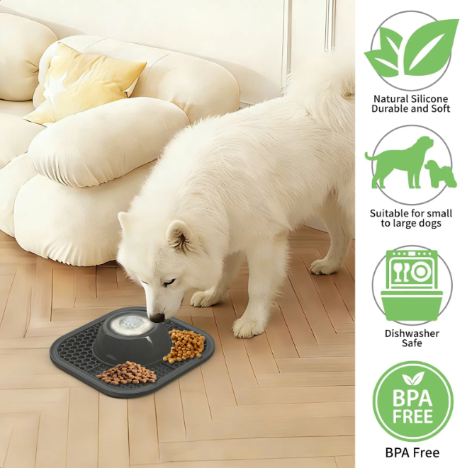 Lick Mat & Slow Feeder Bowl
