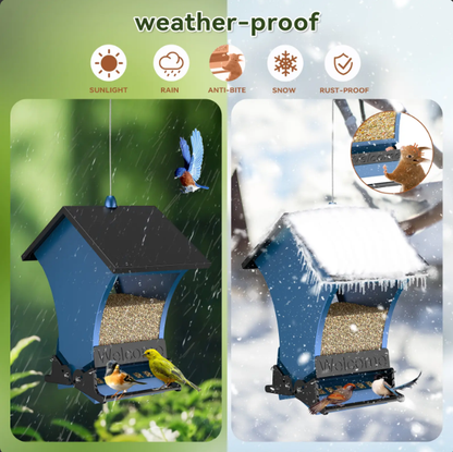Squirrel Proof Bird Feeder