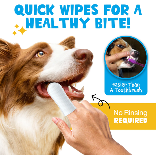 Scented Dental Finger Wipes