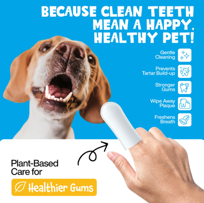 Scented Dental Finger Wipes