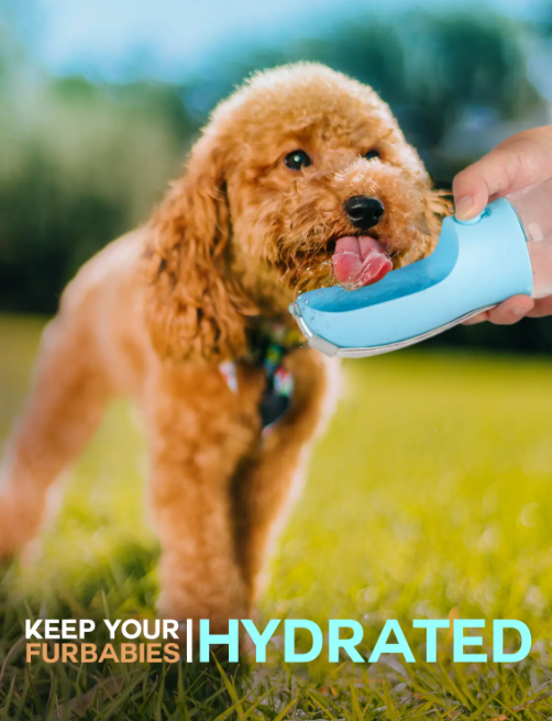 3-in-1 Portable Water Bottle with Integrated Snack Container & Poop Bag Dispenser