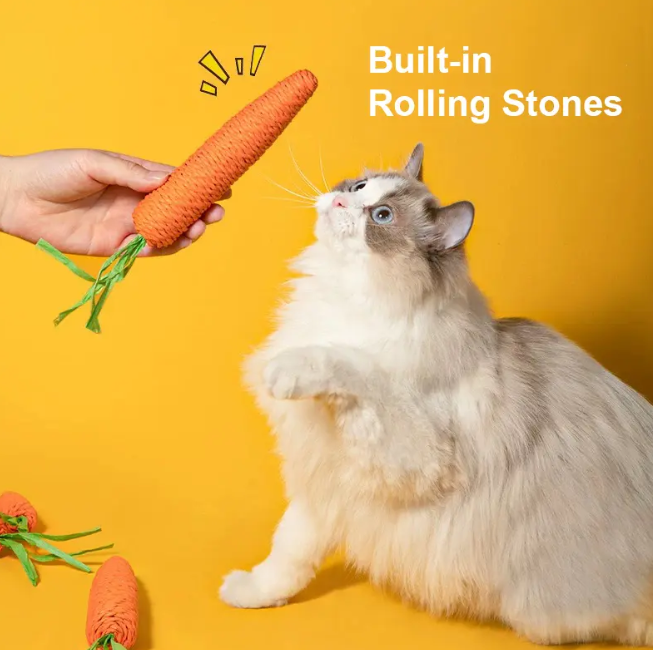 Cute Carrot - Plush Toy for Dogs