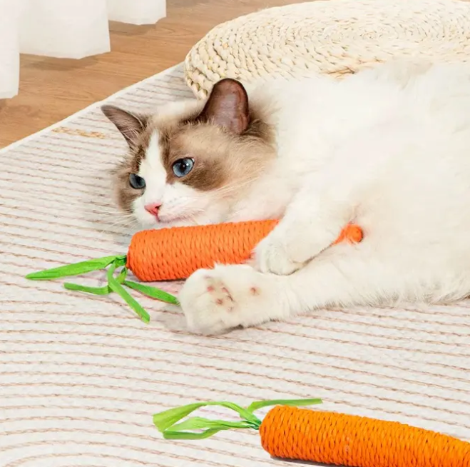 Cute Carrot - Plush Toy for Dogs