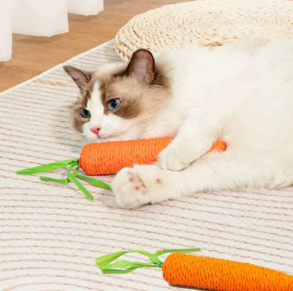 Cute Carrot - Plush Toy for Dogs