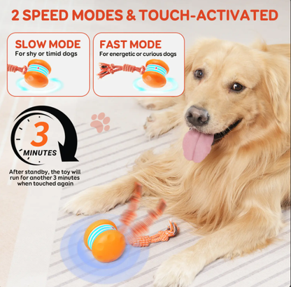 Automatic Rolling & Spinning Pet Toy with Rope