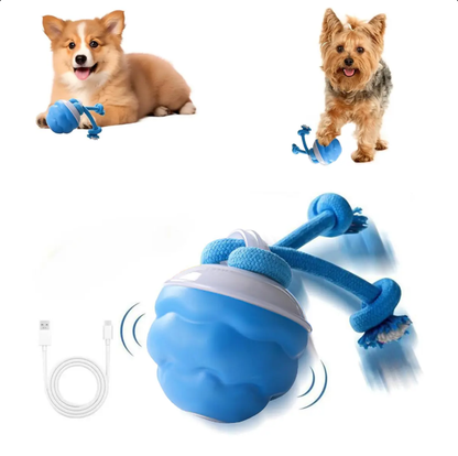 Activated Blue Rolling Ball with Squeaker