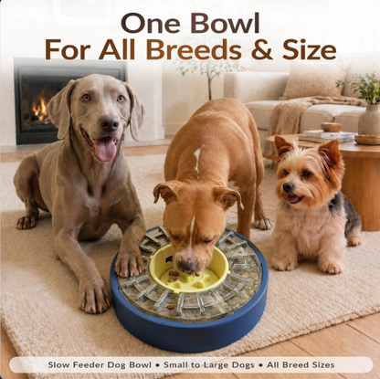 Anti-Gulping Spinning Dog Puzzle Feeder